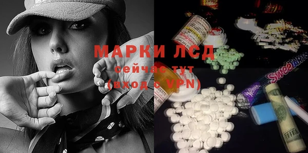 spice Данков