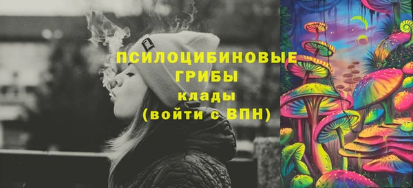 spice Данков