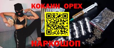 крисы Дубна