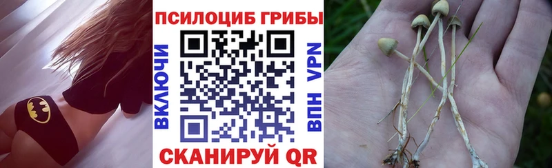 Псилоцибиновые грибы GOLDEN TEACHER  наркошоп  гидра как войти  Кировск 