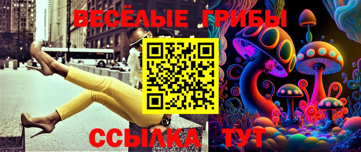 Псилоцибиновые грибы Psilocybe  Вход с VPN  Кировск 