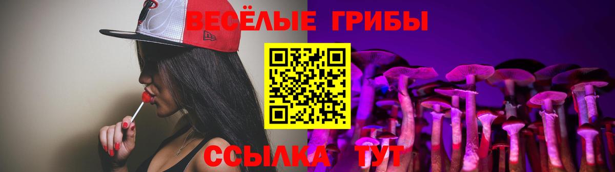 ТГК Кировск